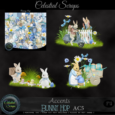 Bunny Hop AC5 Bunny Hop AC5