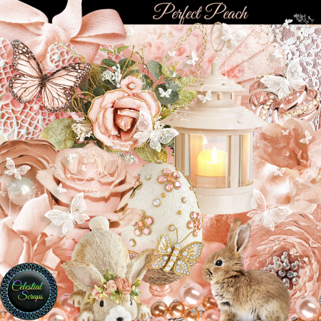 Perfect Peach Kit